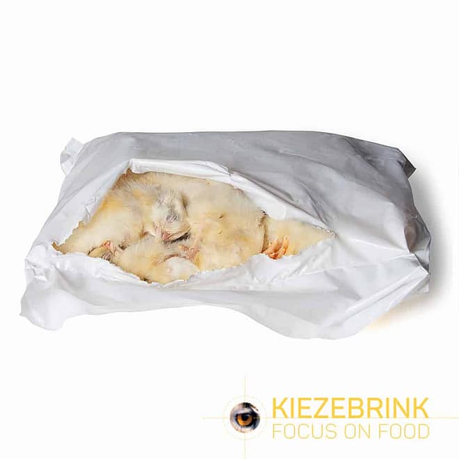 KB BARF – Kuikens
